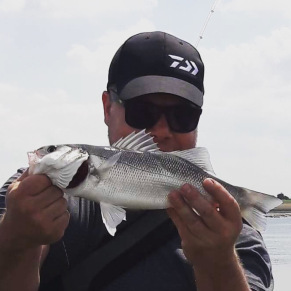 Daiwa Prorex FlandersFisher