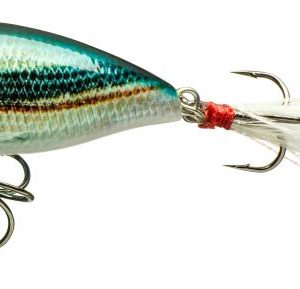 Daiwa Prorex Mini Popper