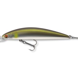 Daiwa tournament current master