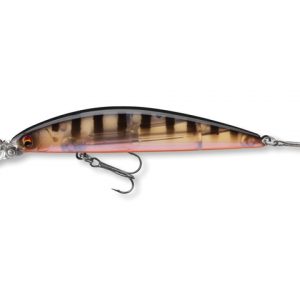 Daiwa tournament current master