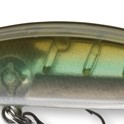Daiwa wise minnow