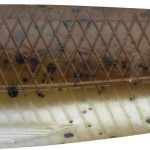 Daiwa Prorex Duckfin Shad