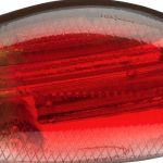 Daiwa Tournament Wise Minnow