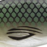 Daiwa Prorex Lazy Shad