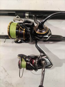 Daiwa vs Shimano