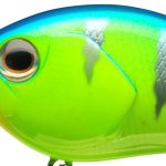 Daiwa Steez Crank 300