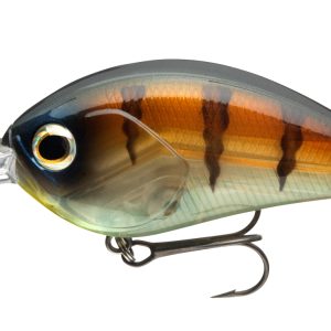 Daiwa Steez Crank 300F-DR
