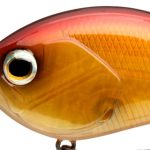 Daiwa Steez Crank 300