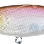 Daiwa Steez Shad 60