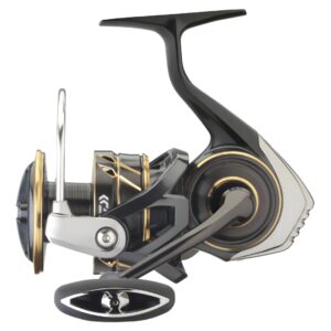 Daiwa '23 Caldia SW