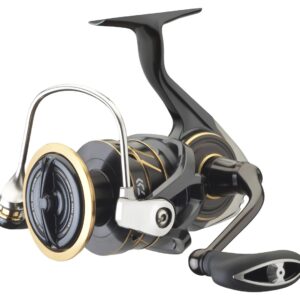 Daiwa '23 Caldia SW