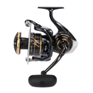 Daiwa '23 Caldia SW