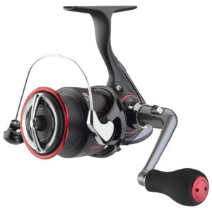 Daiwa '25 TDM QD
