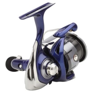 Daiwa '24 TDR QD