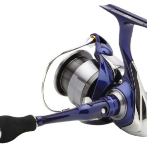 Daiwa '24 TDR QD