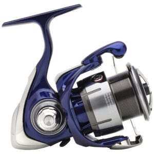 Daiwa '24 TDR QD
