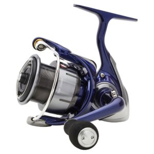 Daiwa '24 TDR QD