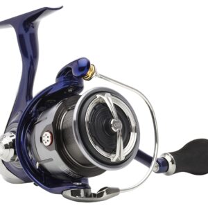Daiwa '24 TDR QD