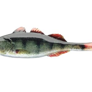 Daiwa Prorex Live Perch