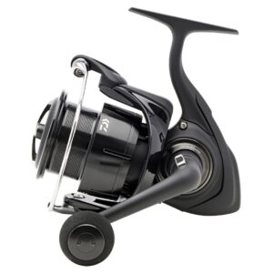 Daiwa '24 TDR QD AB