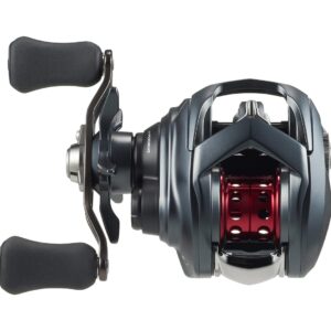 Daiwa '26 Tatula BF TW 8.1L